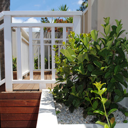 landscaping image