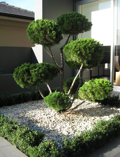 landscaping image